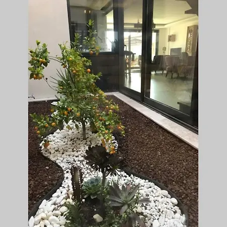 Sakin Sehrin 'Yasam Kralligi' Muestakil Havuz Villa Kuscular